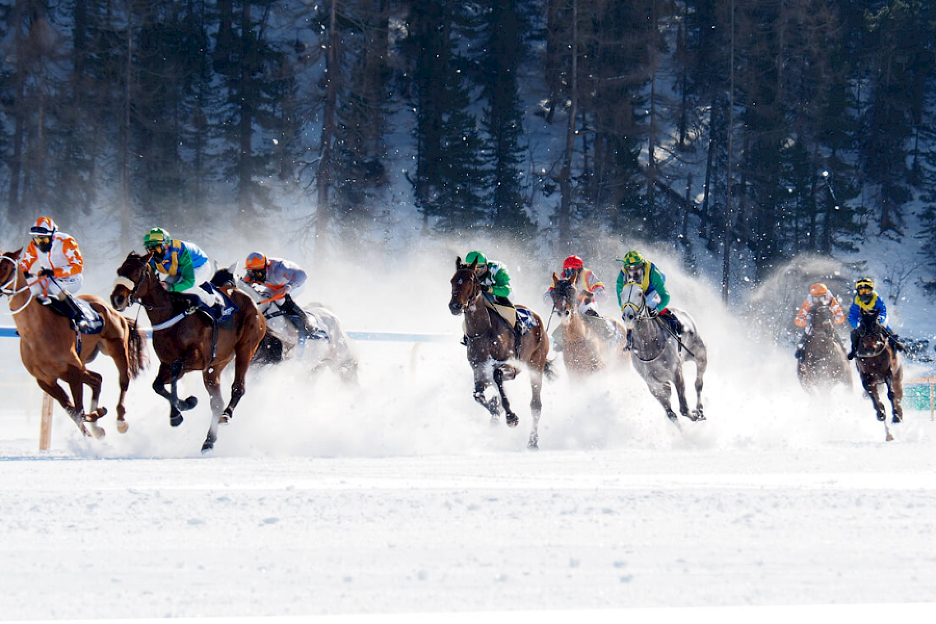White Turf St. Moritz 2027
